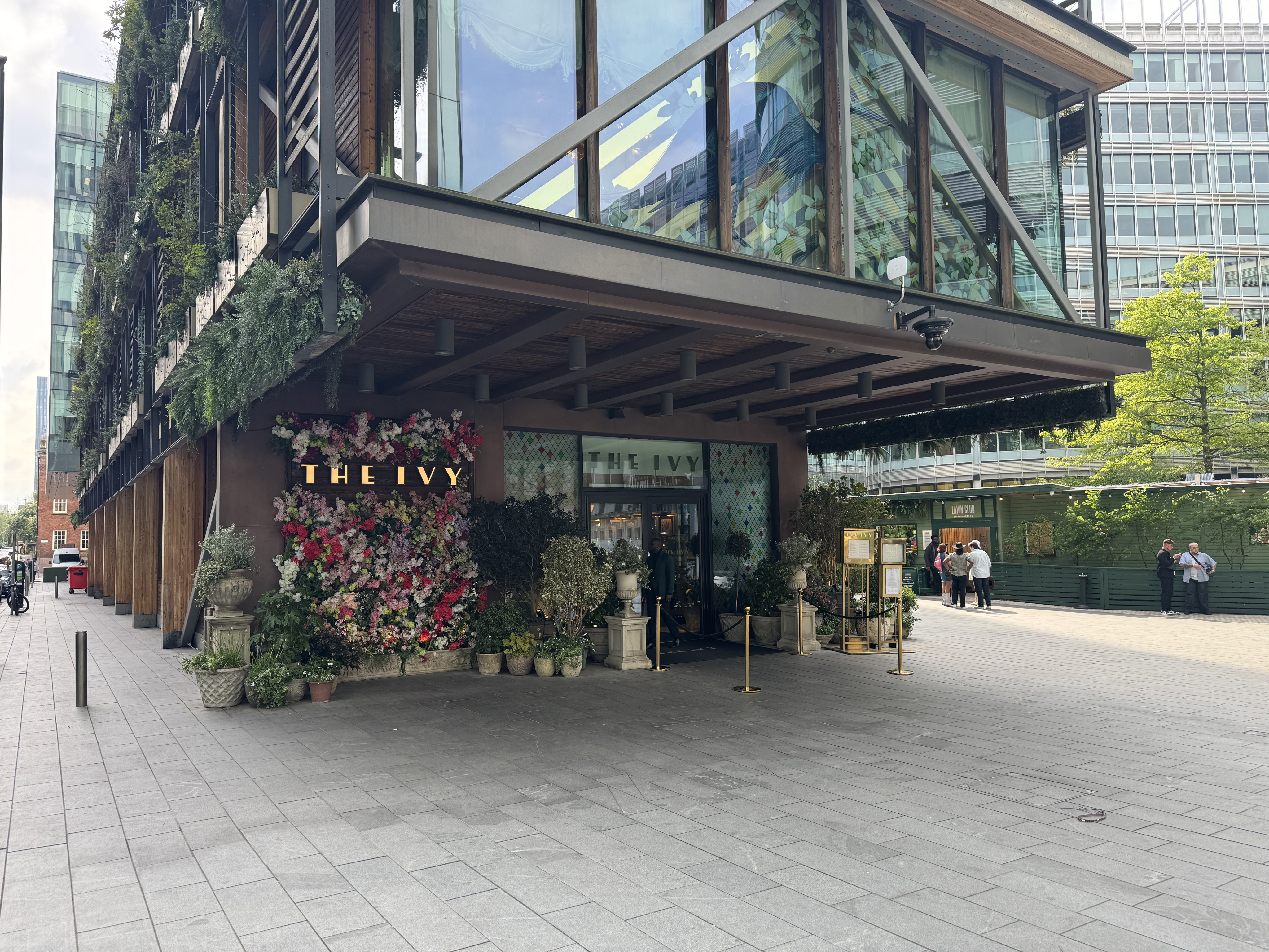 The Ivy